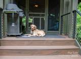 163 Cabin Bluff Drive - Photo 38