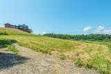 15 French Broad River Way - Photo 16