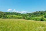 15 French Broad River Way - Photo 19
