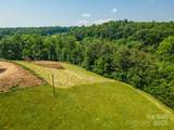 15 French Broad River Way - Photo 10