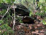 000 John Delk Road - Photo 26