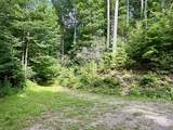 13 Wildlife Drive - Photo 3