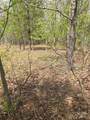 0 New Covenant Way - Photo 6