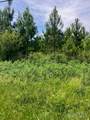 0 Renee Ford Road - Photo 2
