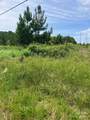0 Renee Ford Road - Photo 3
