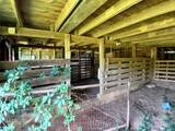 4194 Buffalo Shoals Road - Photo 7