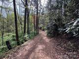 TBD (D) Chestnut Walk Drive - Photo 16