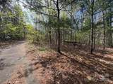 TBD (D) Chestnut Walk Drive - Photo 19