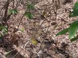 00 Bent Tree Road - Photo 11