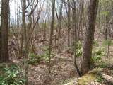 00 Bent Tree Road - Photo 6
