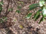 00 Bent Tree Road - Photo 10
