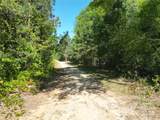 TBD Goldenrod Drive - Photo 8