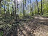 Lot 64/65 Big Springs Trail - Photo 11
