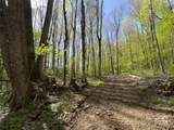 Lot 64/65 Big Springs Trail - Photo 13