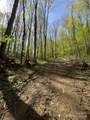 Lot 64/65 Big Springs Trail - Photo 14