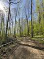 Lot 64/65 Big Springs Trail - Photo 15