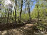 Lot 64/65 Big Springs Trail - Photo 8
