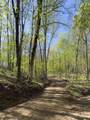 Lot 64/65 Big Springs Trail - Photo 9