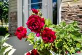 8 Cherry Laurel Lane - Photo 22