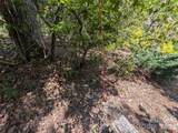 00 Winterberry Drive - Photo 8