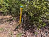 00 Winterberry Drive - Photo 10