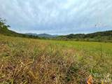4136 Rose Creek Road - Photo 39