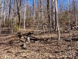 19 Giffords Lane - Photo 31
