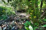 99999 Anderson Cove Road - Photo 13
