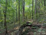 99999 Anderson Cove Road - Photo 38