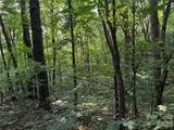 99999 Anderson Cove Road - Photo 41