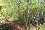 99999 Mountain Falls Trail - Photo 2