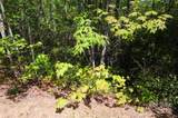 99999 Mountain Falls Trail - Photo 6