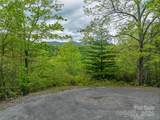 59 Pisgah Mountain Trail - Photo 12