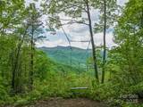 59 Pisgah Mountain Trail - Photo 3
