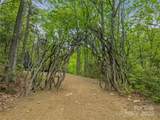 59 Pisgah Mountain Trail - Photo 30