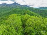 59 Pisgah Mountain Trail - Photo 35