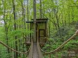 59 Pisgah Mountain Trail - Photo 6