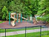 415 Tayberry Lane - Photo 45