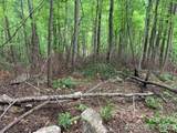 42.16 ACS Green River Cove Road - Photo 25