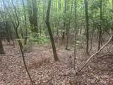 TBD Upper Whitewater Road - Photo 5
