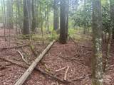 TBD Upper Whitewater Road - Photo 6
