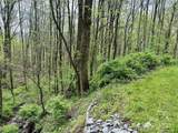 1 Deer Creek Trail - Photo 2