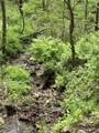 1 Deer Creek Trail - Photo 3
