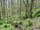 1 Deer Creek Trail - Photo 4
