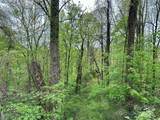 1 Deer Creek Trail - Photo 5