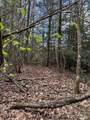 TBD Black Bear Trail - Photo 3