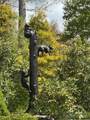 TBD Black Bear Trail - Photo 10