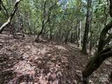 TBD Tellico Trail - Photo 3