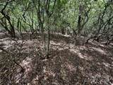 TBD Tellico Trail - Photo 4