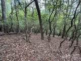 TBD Tellico Trail - Photo 7